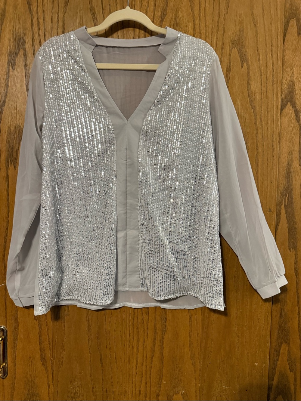 Express Silver Sequin V-Neck Blouse